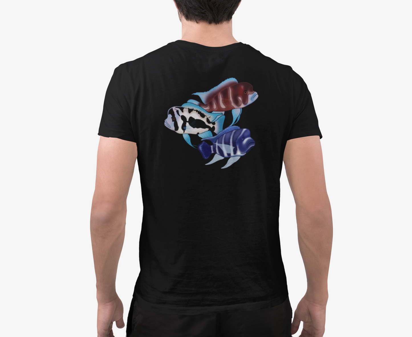 The Tank Life Apparel frontosa cichlid design on a classic tee with our custom TLA sleeve label. Three fish Black widow, red frontosa, blue zaire. Blue fish with dark stripes.