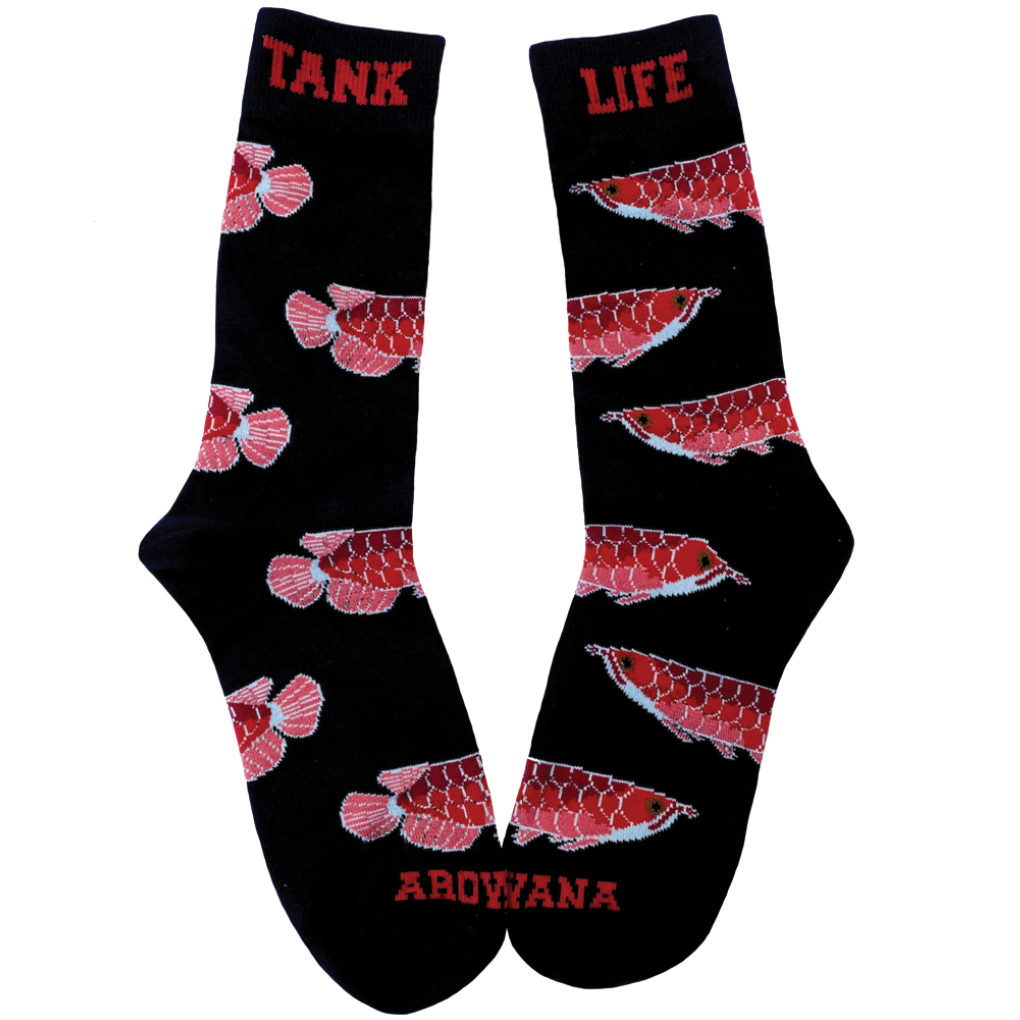 Asian Arowana Socks