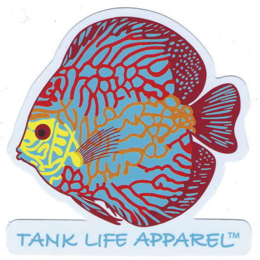 Discus Fish Sticker