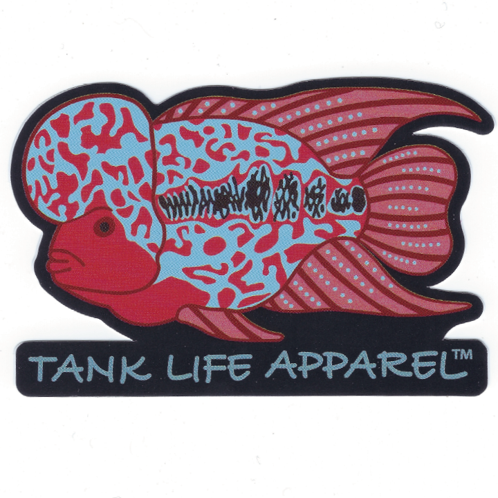 Flowerhorn cichlid vinyl sticker decal. Blue and red pink fish with big hump on head.