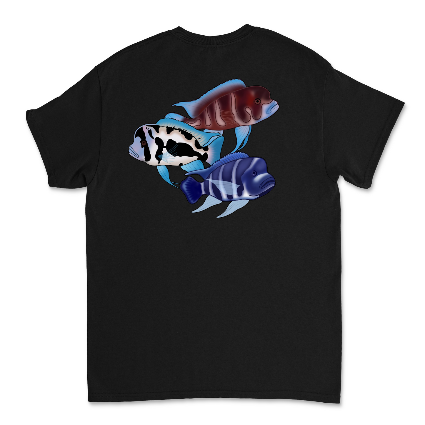 The Tank Life Apparel frontosa cichlid design on a classic tee with our custom TLA sleeve label. Three fish Black widow, red frontosa, blue zaire. Blue fish with dark stripes.