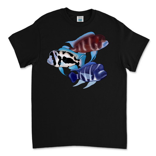 The Tank Life Apparel frontosa cichlid design on a youth tee.  Three fish Black widow, red frontosa, blue zaire. Blue fish with dark stripes.