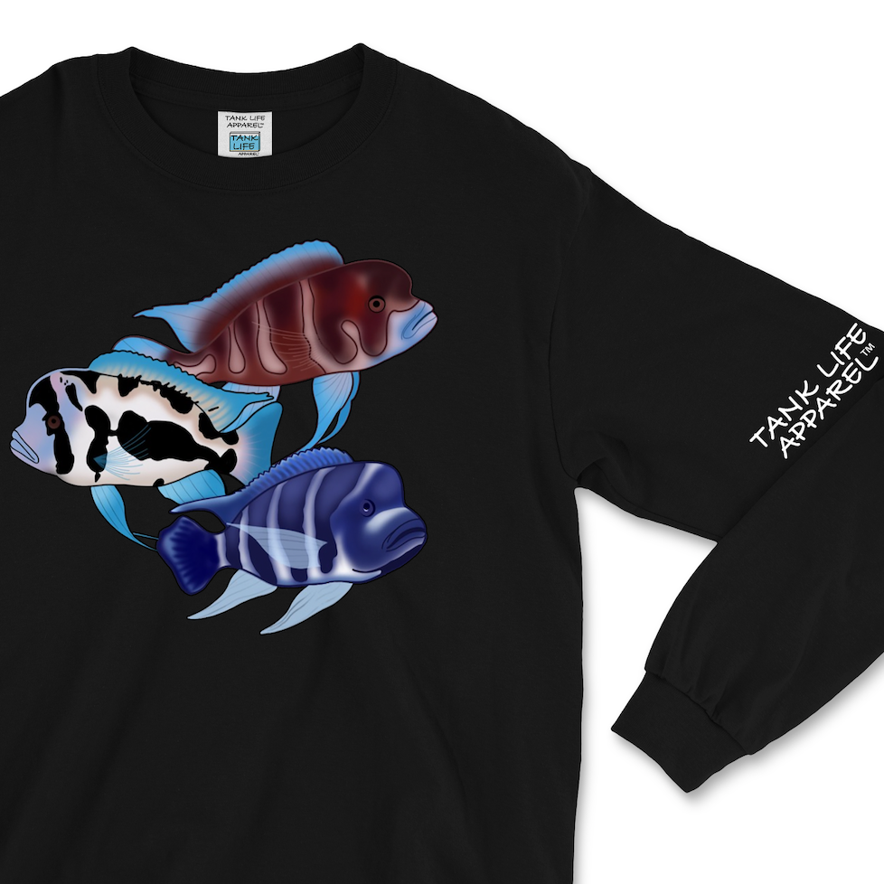 The Tank Life Apparel frontosa cichlid design on a super comfortable long sleeve shirt. Three fish Black widow, red frontosa, blue zaire. Blue fish with dark stripes.