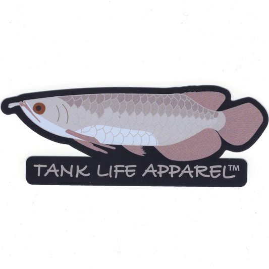 The Tank Life Apparel Silver Arowana design on a glossy vinyl sticker. Monster predatory fish decal. Gray fish.