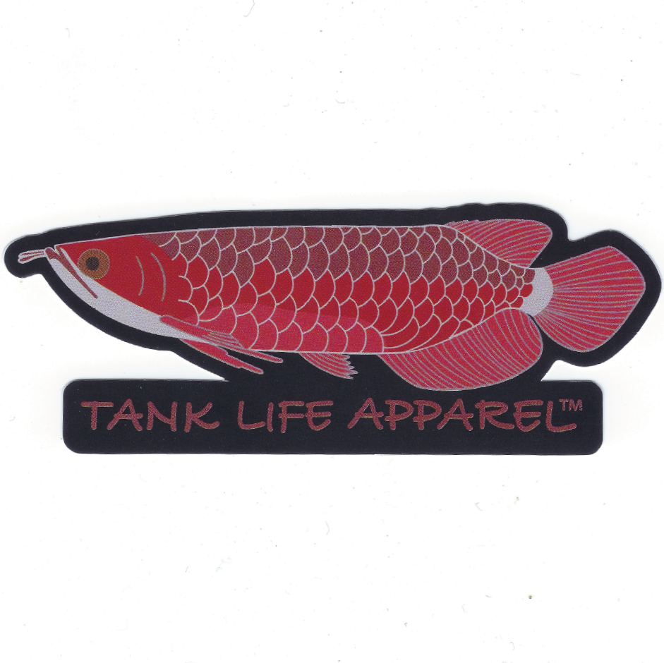 The Tank Life Apparel Red Asian Arowana design on a glossy vinyl sticker. Monster predatory fish decal.