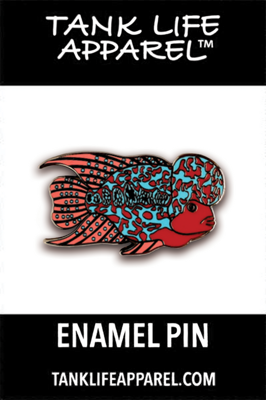 Flowerhorn cichlid hard enamel pin. Blue and red pink fish with big hump on head.