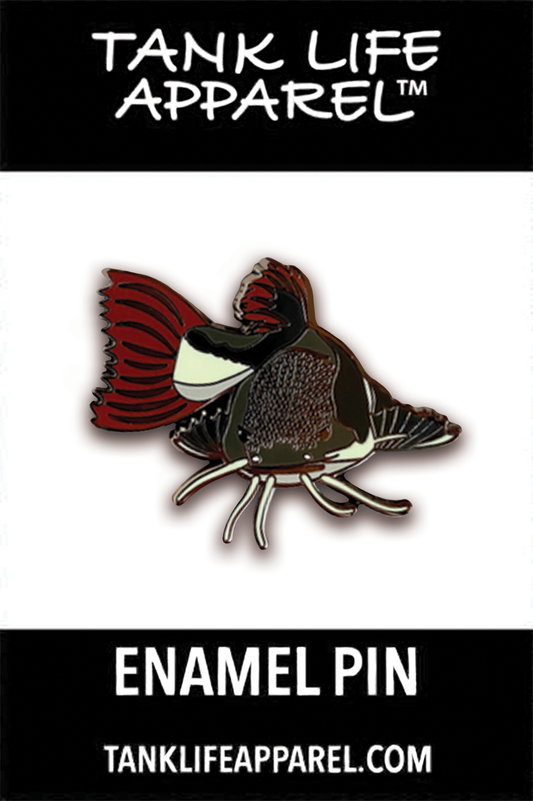 Red tail catfish hard enamel pin. Monster predatory fish pin.